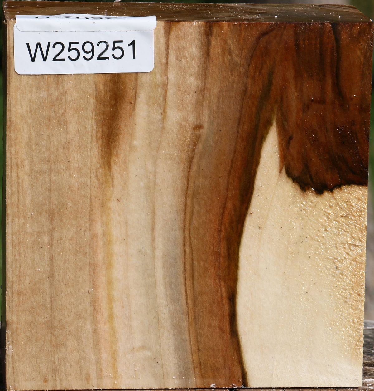 Figured Silver Maple Bowl Blank