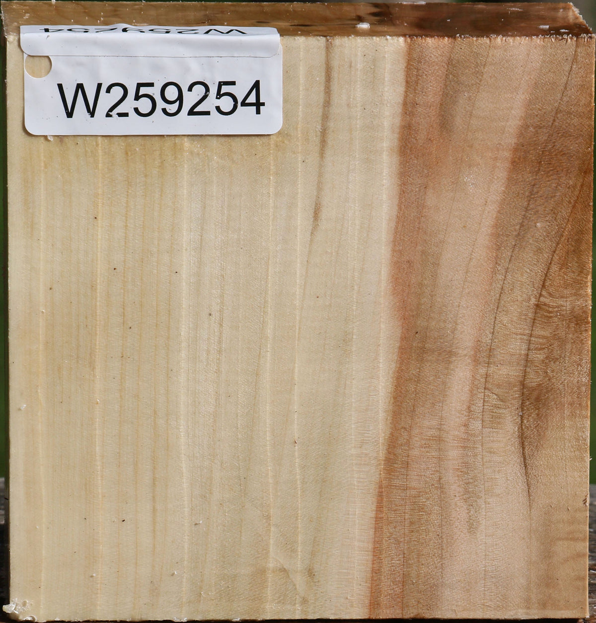 Silver Maple Bowl Blank