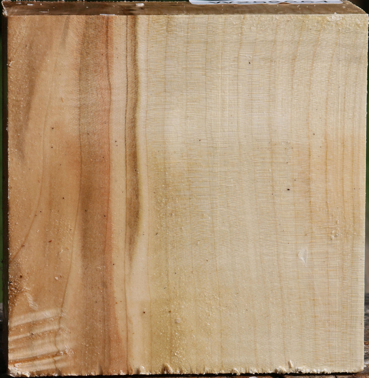 Silver Maple Bowl Blank