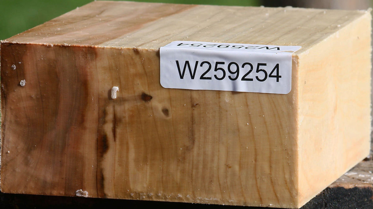 Silver Maple Bowl Blank