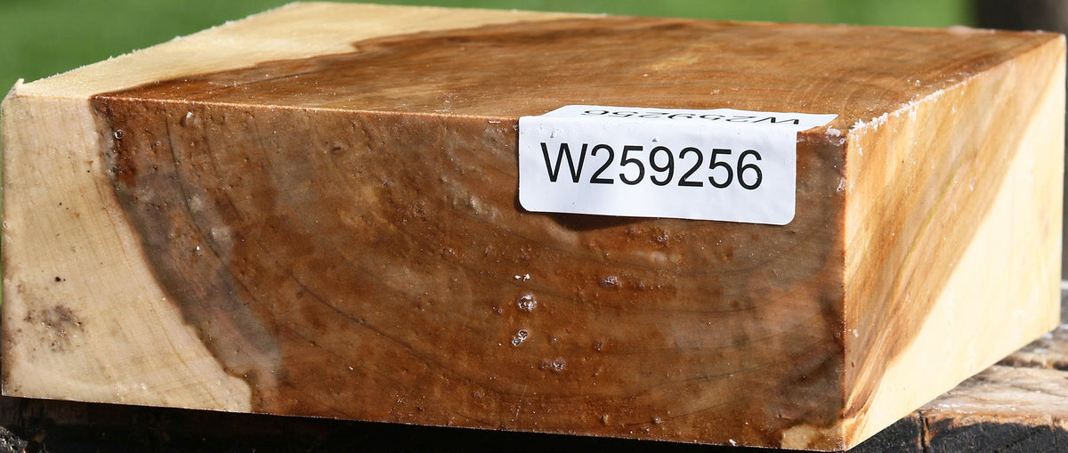 Figured Silver Maple Bowl Blank