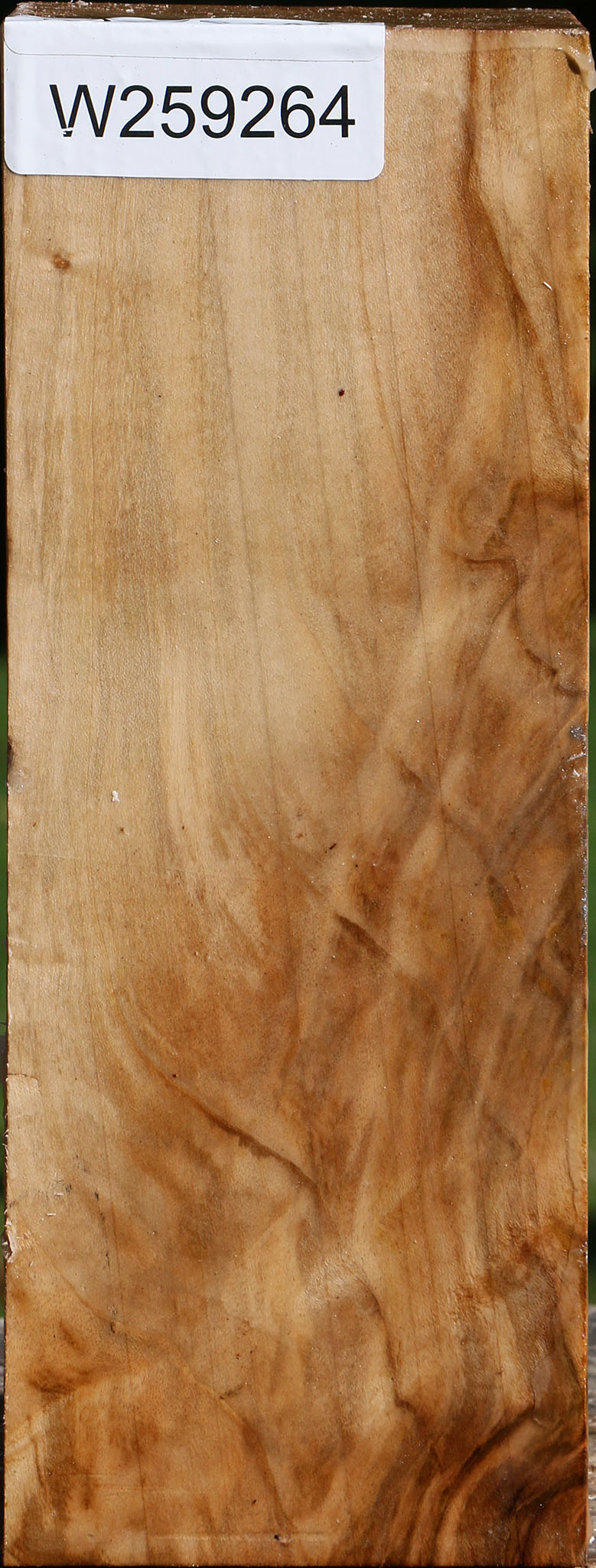 Figured Silver Maple Vessel Blank