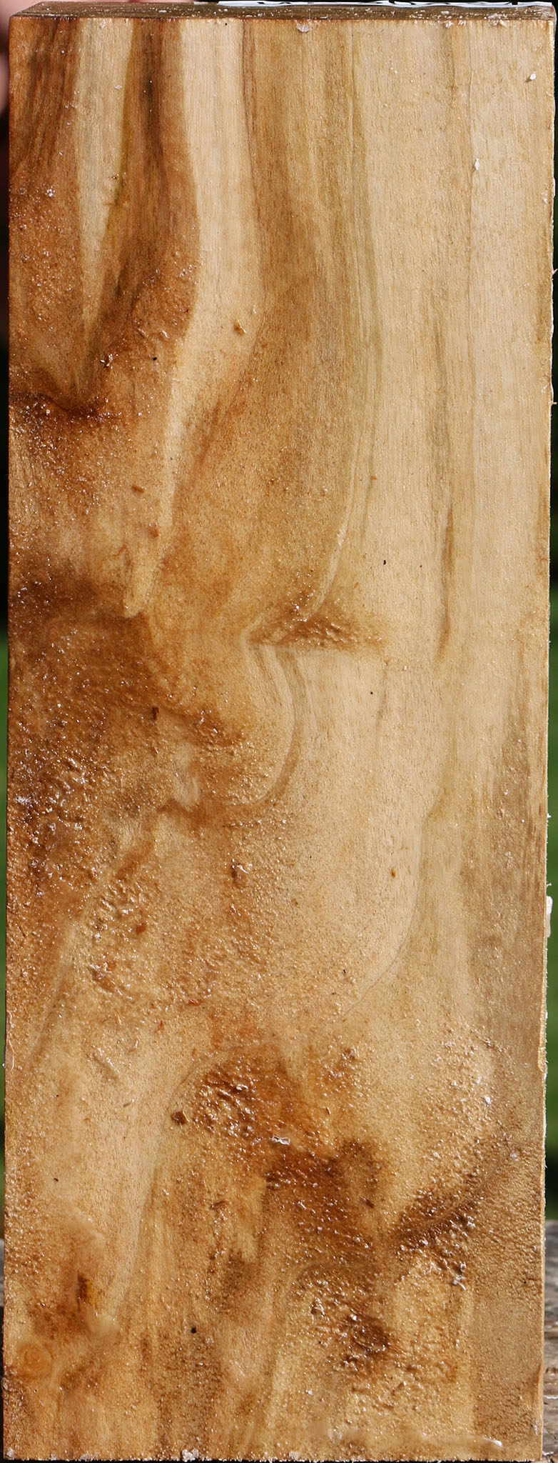 Figured Silver Maple Vessel Blank