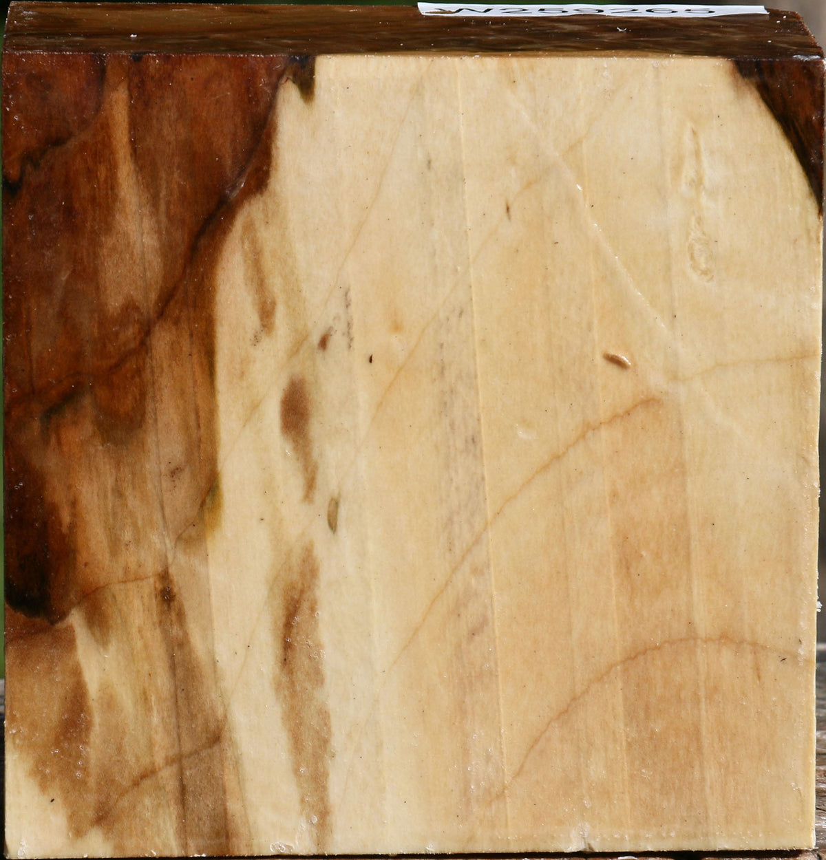 Figured Silver Maple Bowl Blank