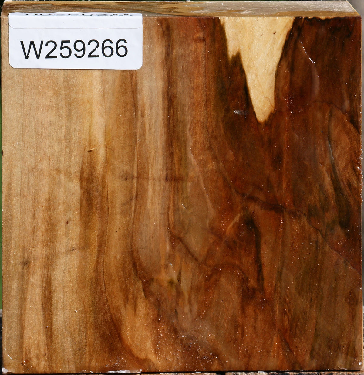 Figured Silver Maple Bowl Blank