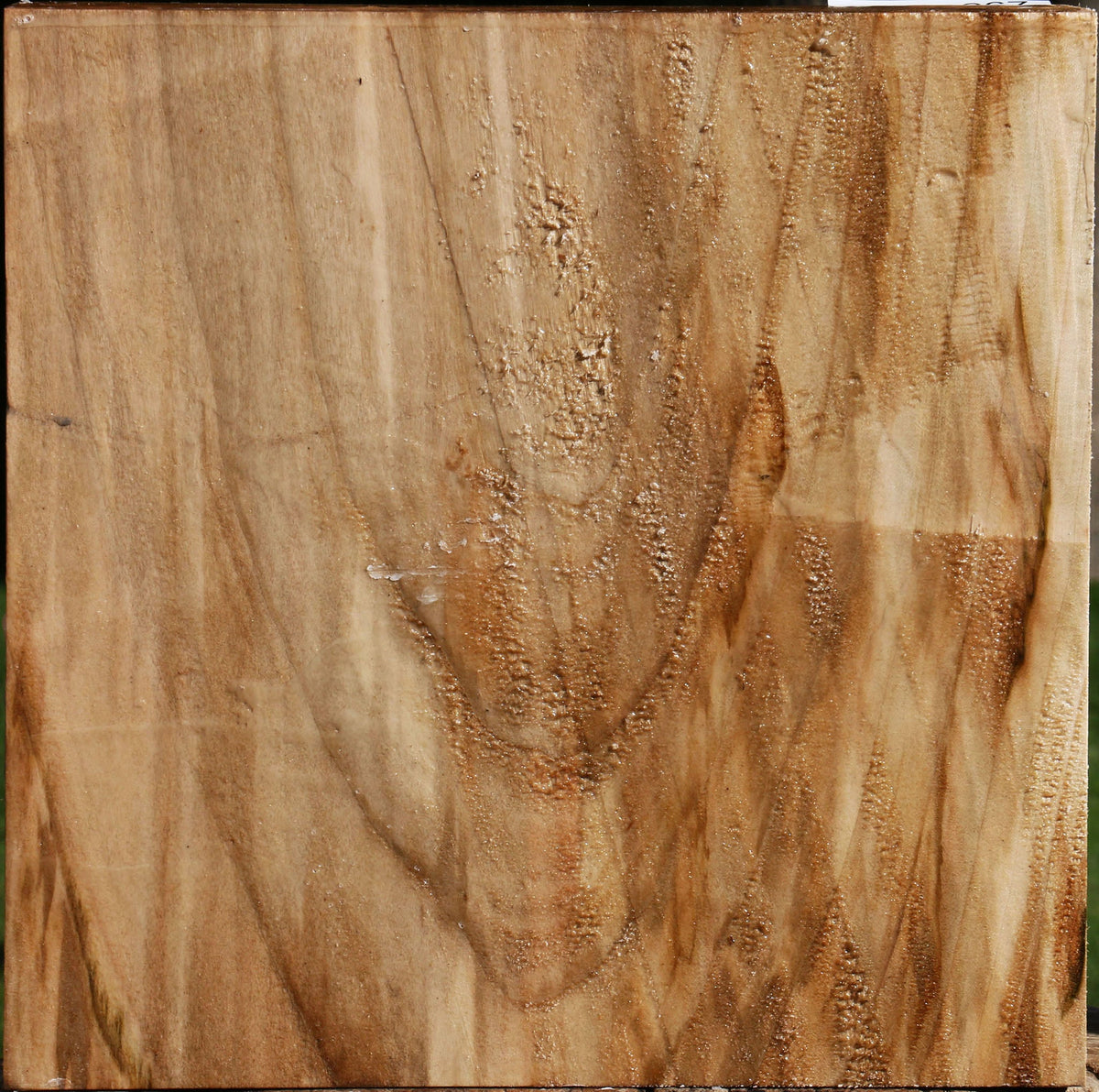 Figured Silver Maple Bowl Blank