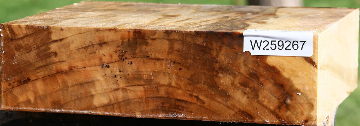 Figured Silver Maple Bowl Blank