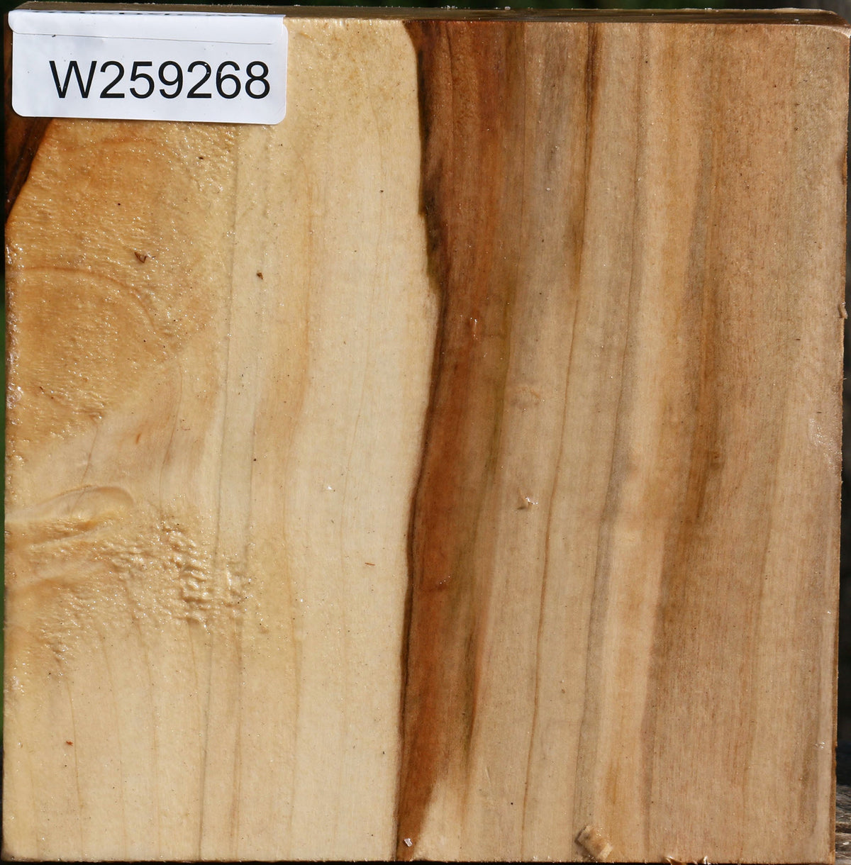 Silver Maple Bowl Blank