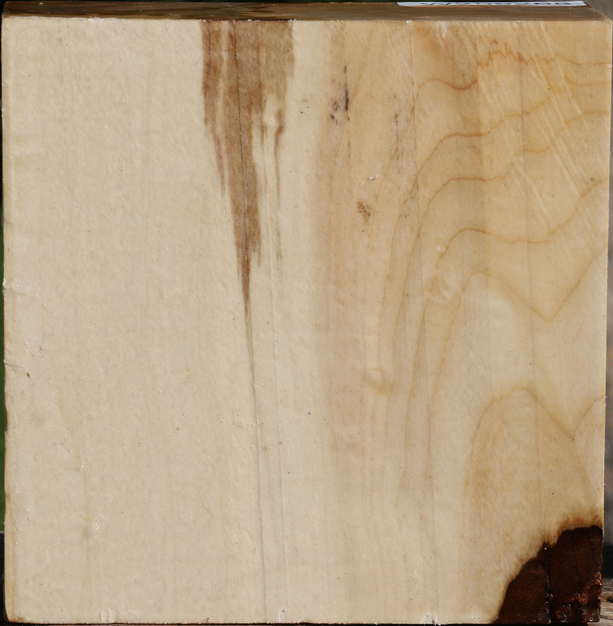 Silver Maple Bowl Blank