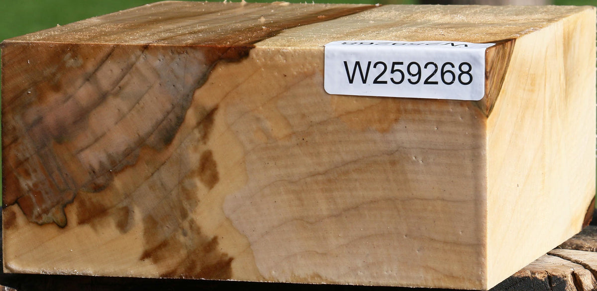 Silver Maple Bowl Blank
