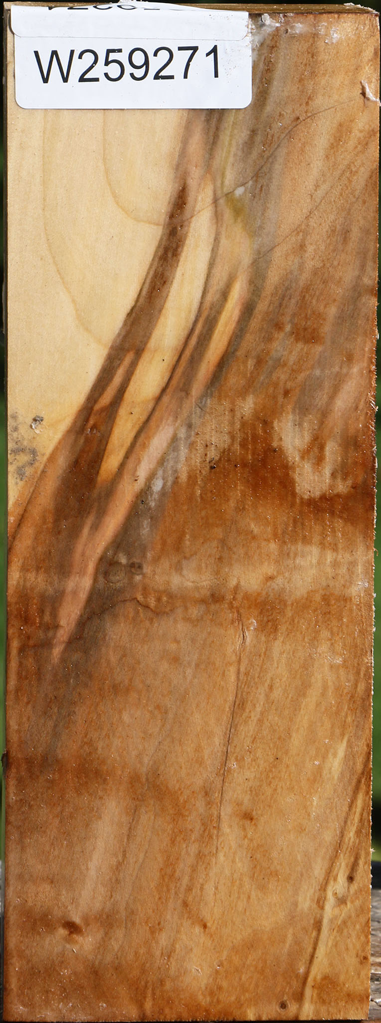 Silver Maple Vessel Blank