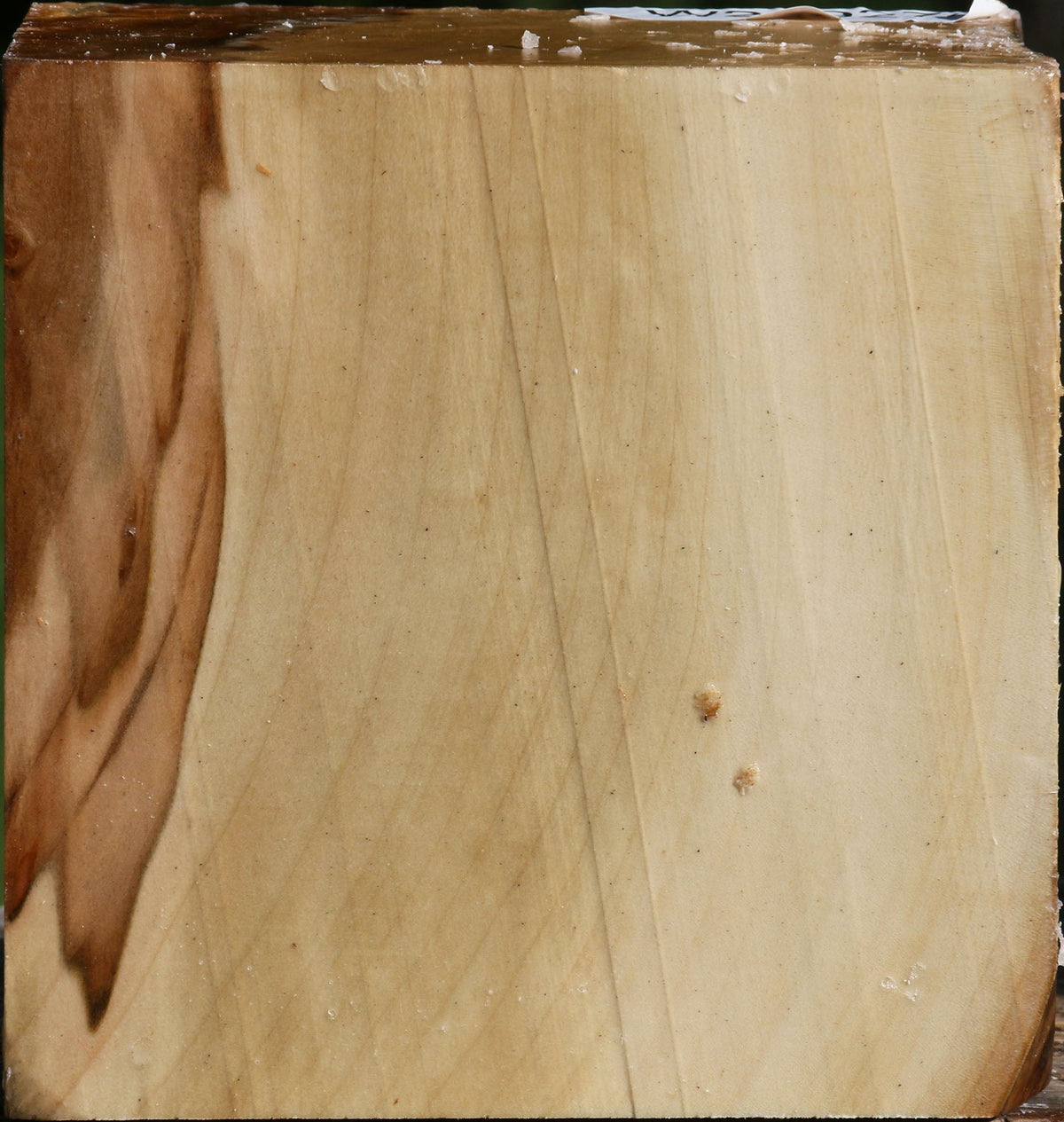 Silver Maple Bowl Blank