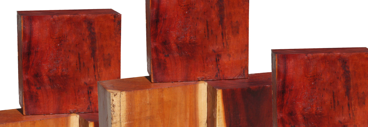 Pernambuco Bowl Blank (5" x 5" x 3")