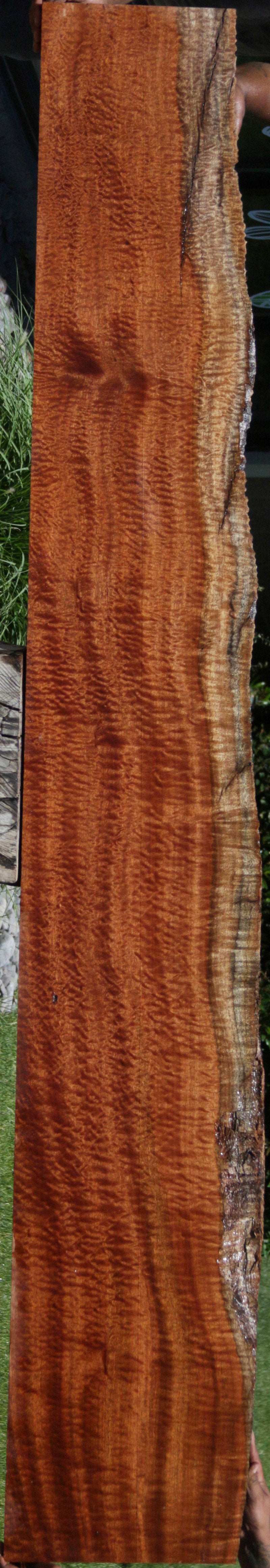 Rustic Pomelle Sapele Live Edge Lumber
