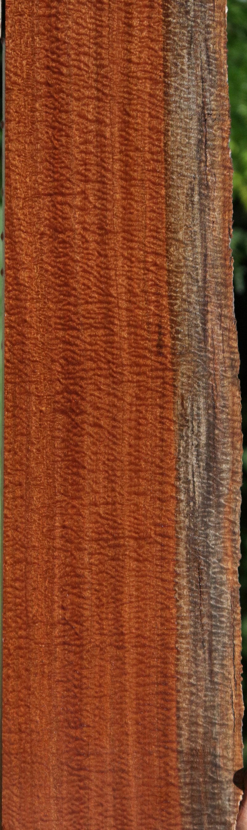 Rustic Museum Grade Pomelle Sapele Live Edge Lumber