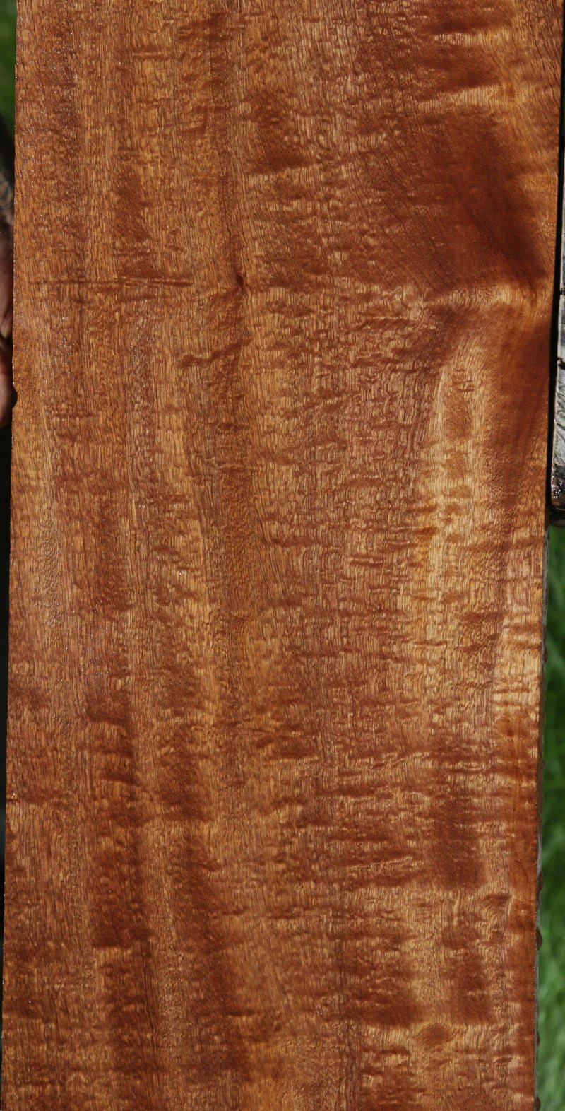 XF Pomelle Sapele Lumber