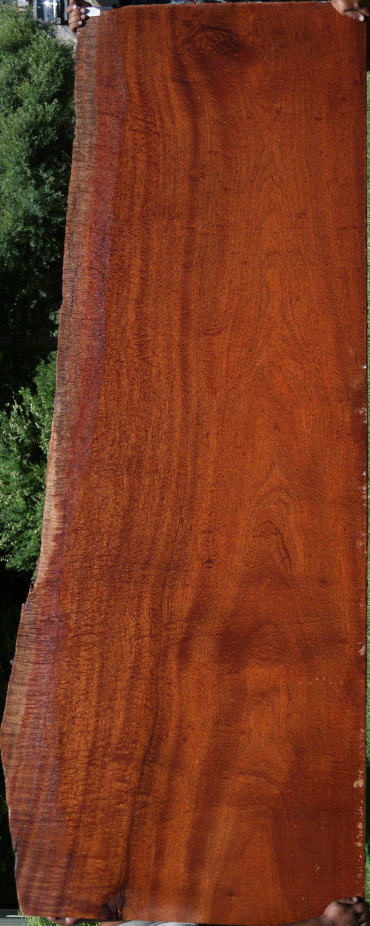 Exhibition Grade Pomelle Sapele Slab