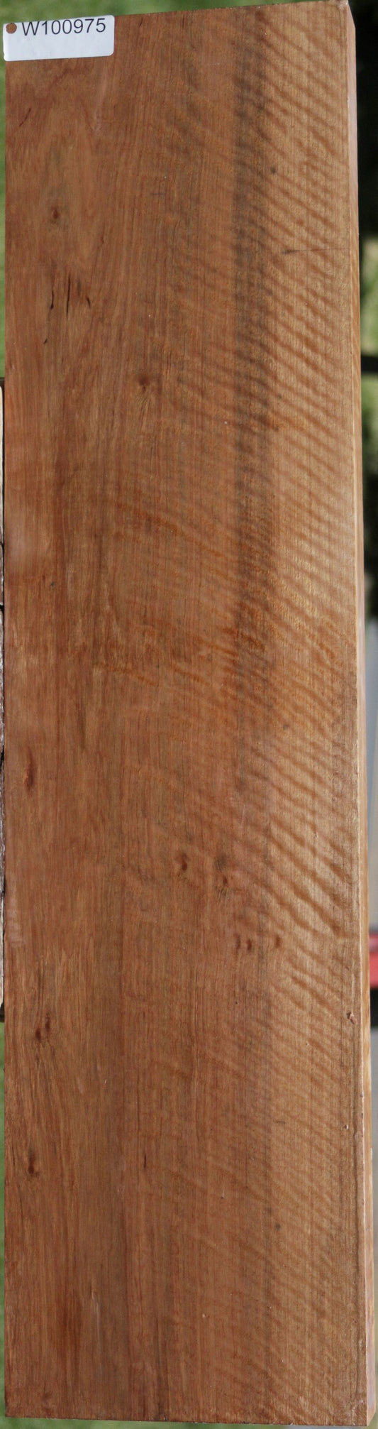 XF Curly Asian Satinwood Lumber