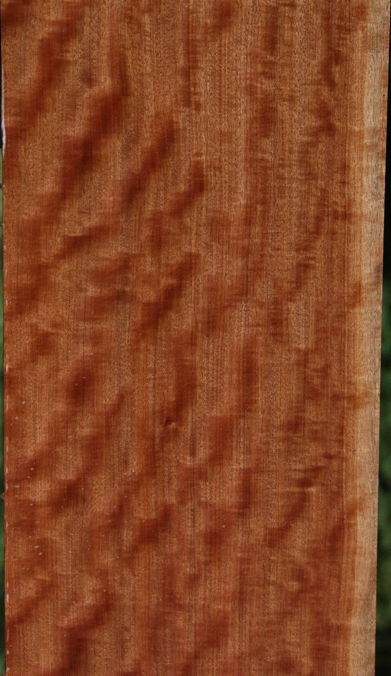 Curly Quartersawn XF Figured African Makore Lumber (Guitar Billet)