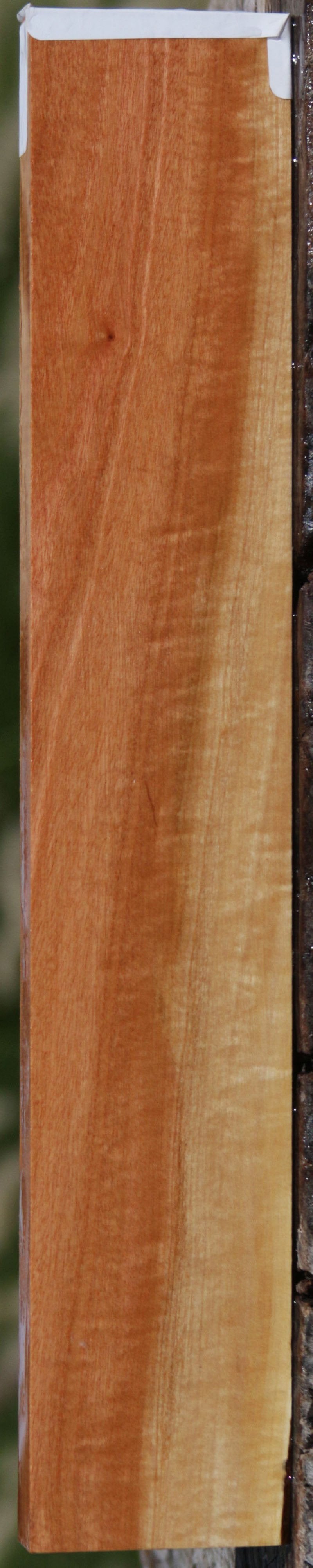 Pink Ivory Lumber