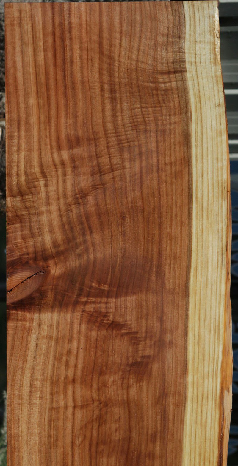 Redwood Slab