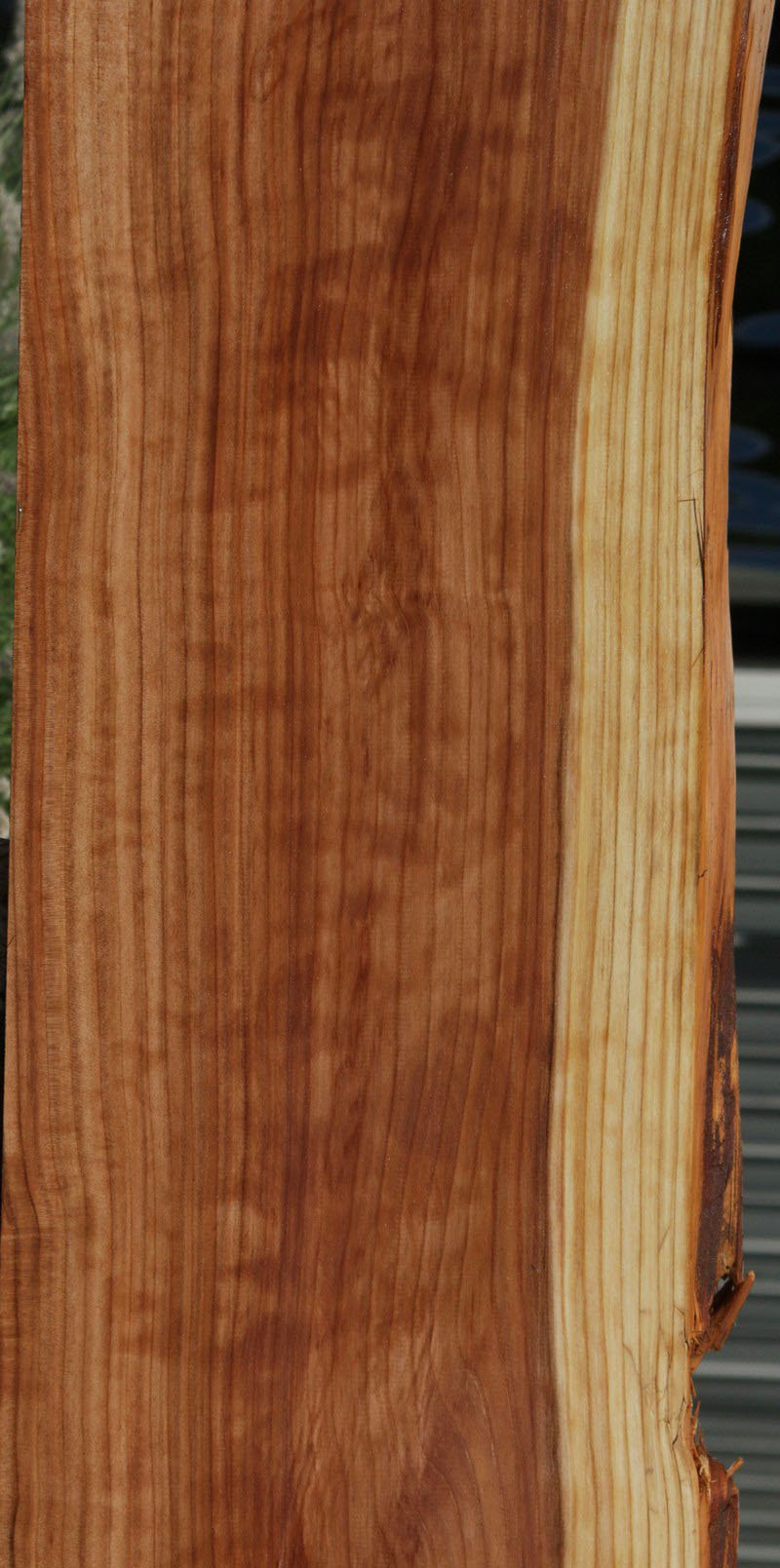 Redwood Slab