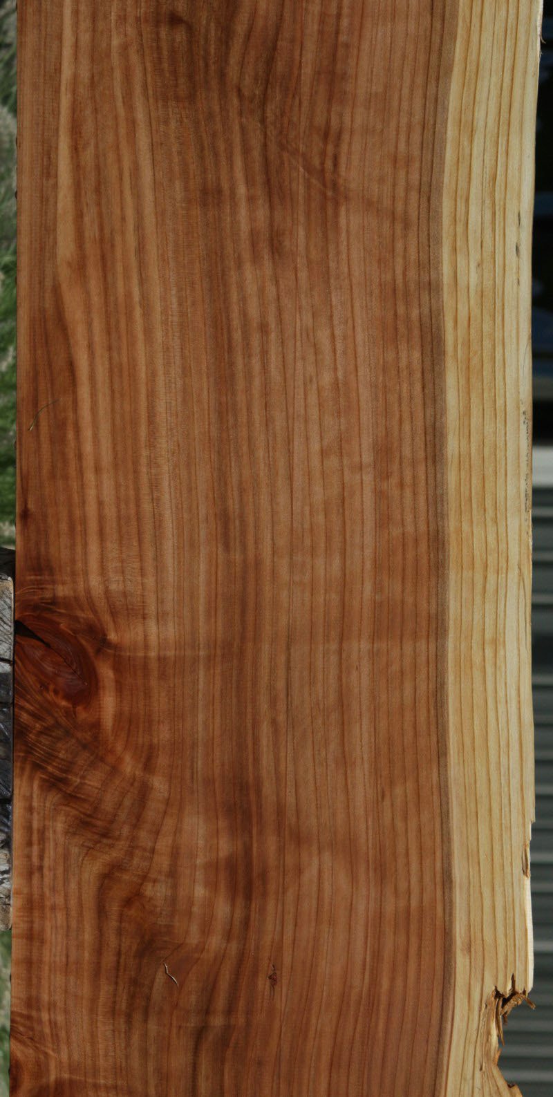 Redwood Slab