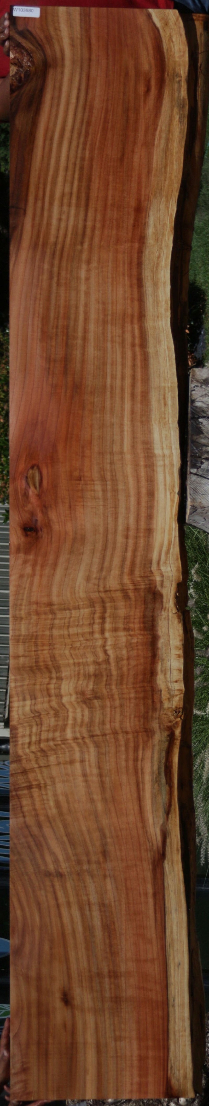 Redbud Slab Redwood Slab – Cook Woods