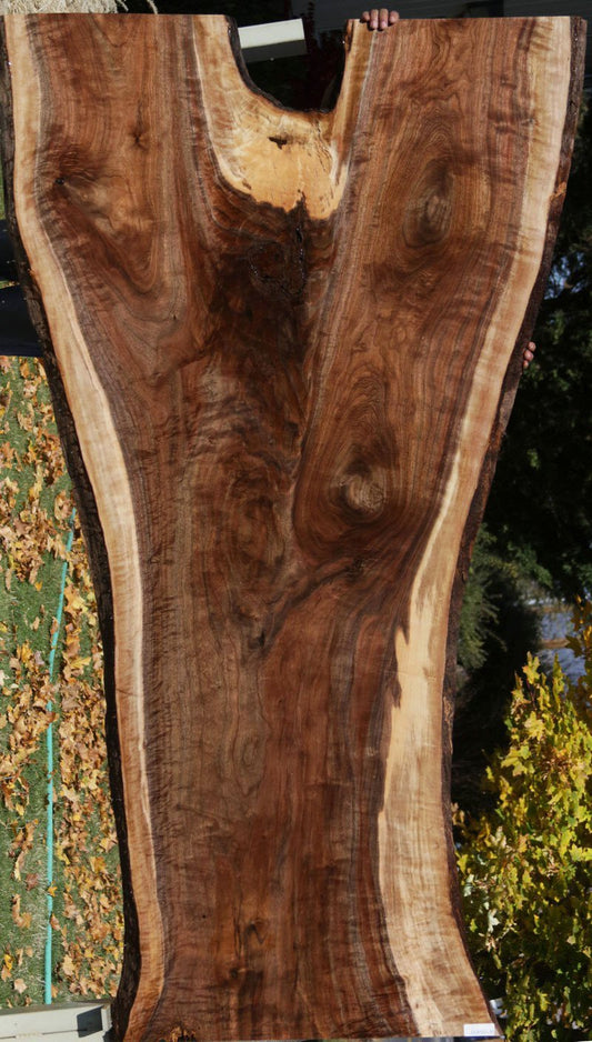 Extra Fancy Figured Crotchwood Claro Walnut Slab