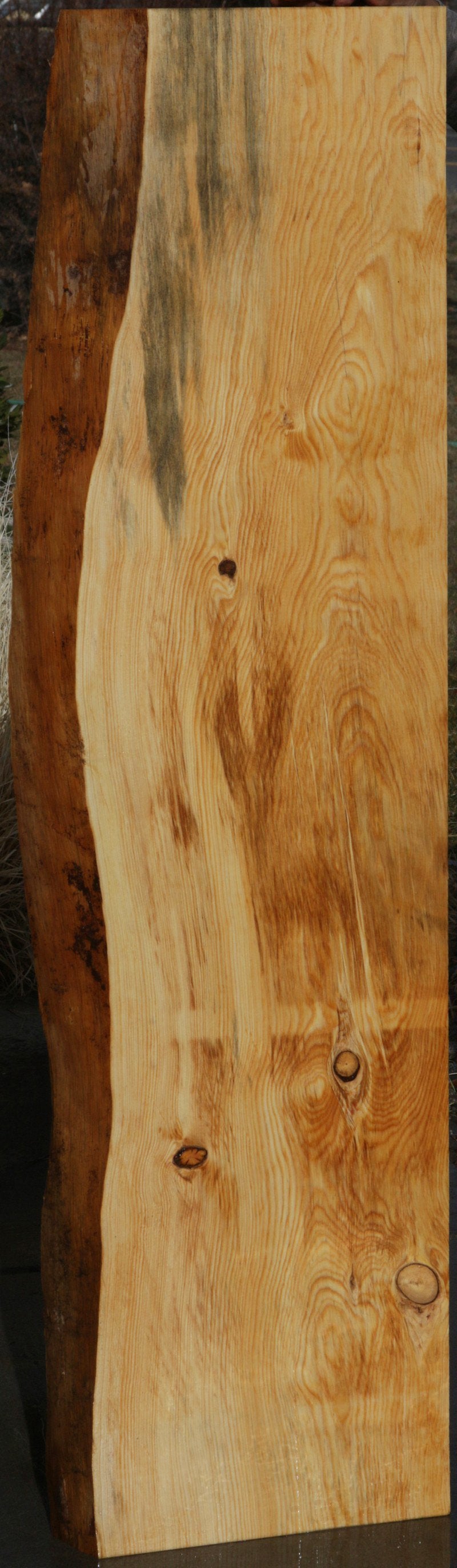 Natural Rustic Blue Ponderosa Pine Mantel