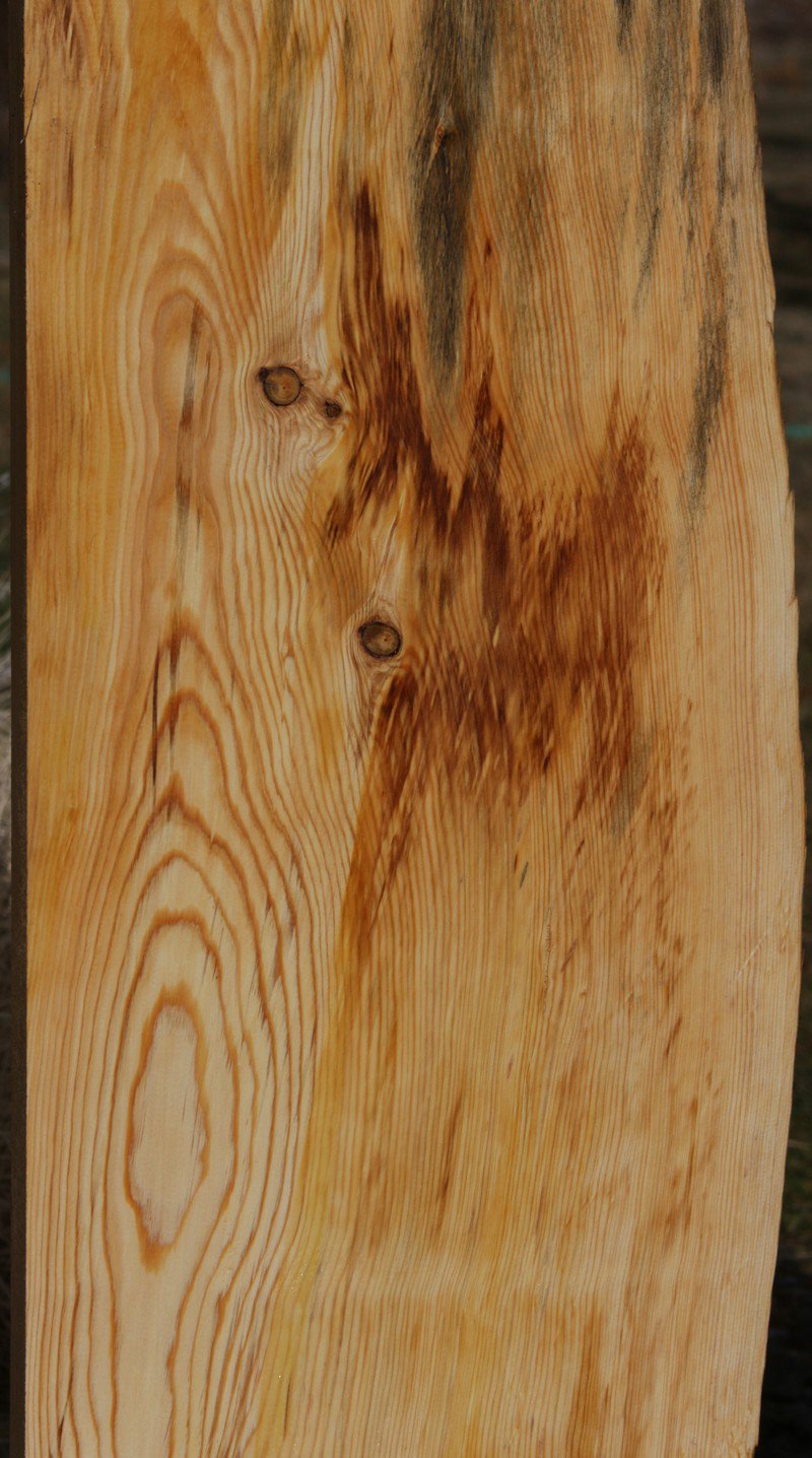 Natural Rustic Blue Ponderosa Pine Mantel