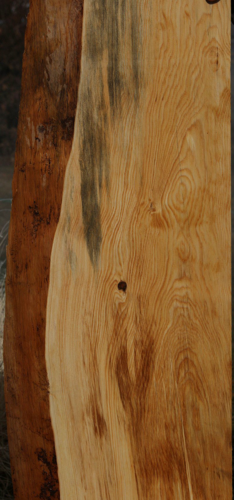 Natural Rustic Blue Ponderosa Pine Mantel