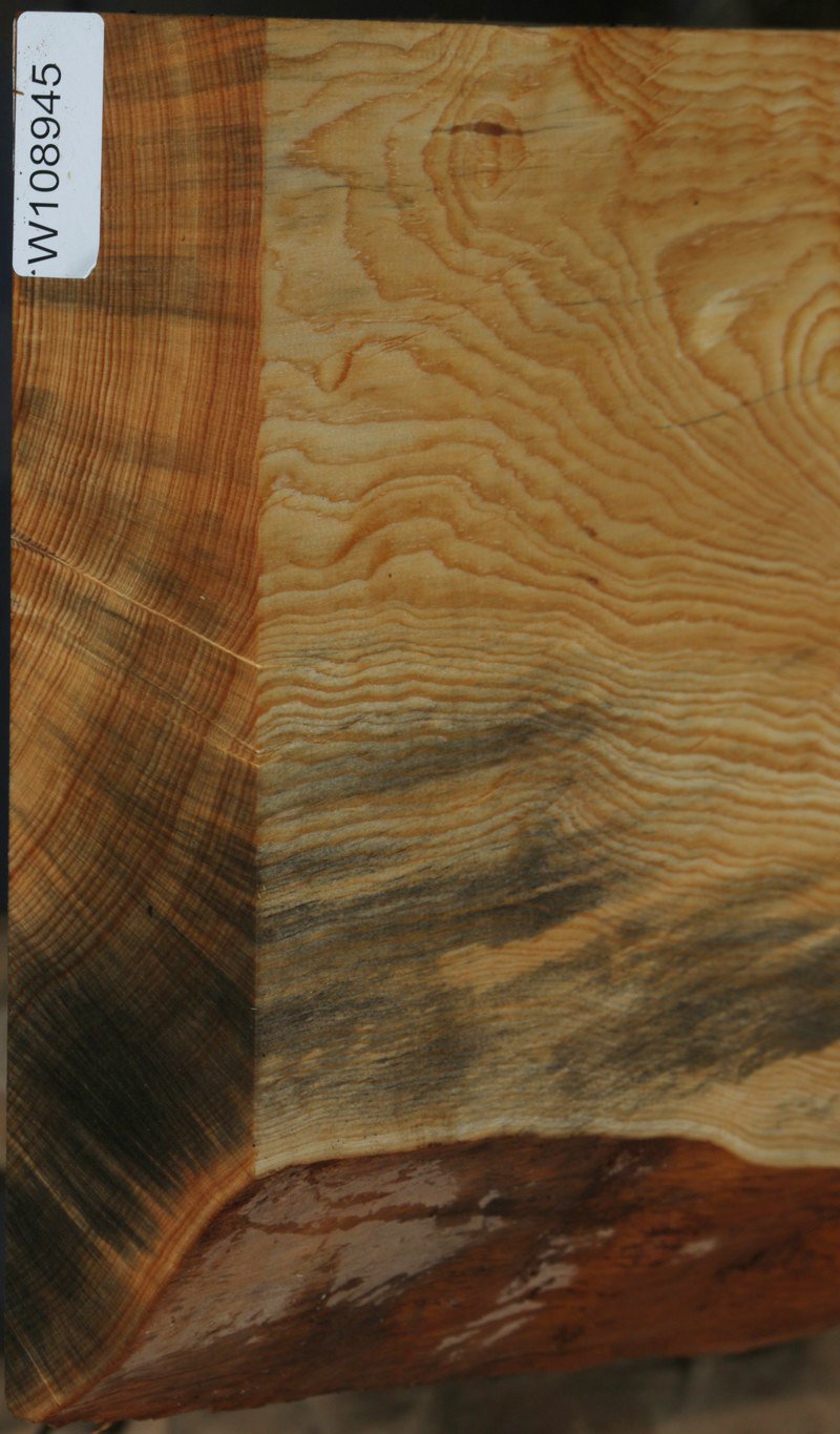 Natural Rustic Blue Ponderosa Pine Mantel