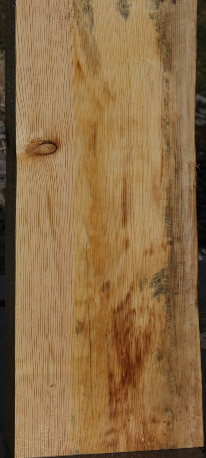 Natural Rustic Blue Sugar Pine Mantel