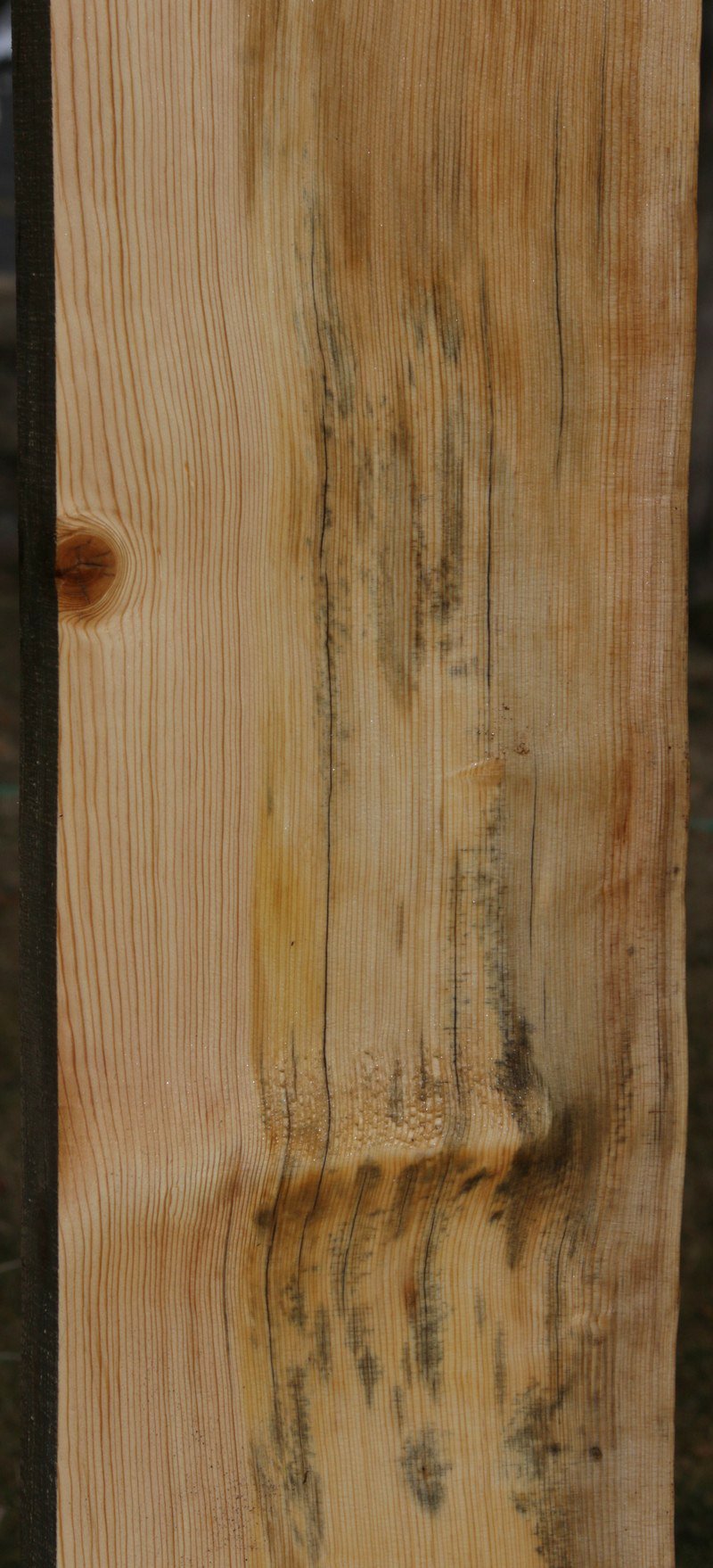 Natural Rustic Blue Sugar Pine Mantel