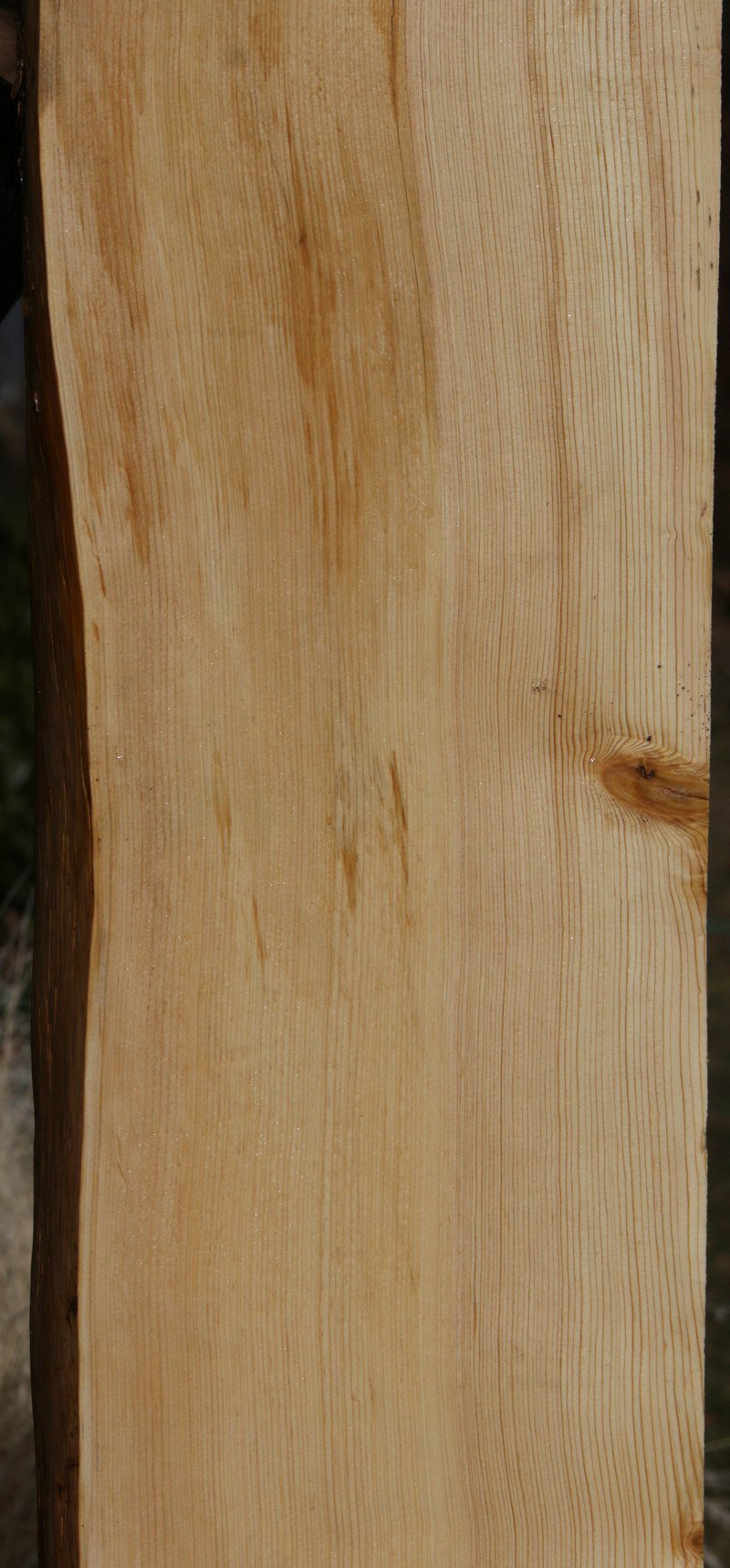 Natural Rustic Blue Sugar Pine Mantel