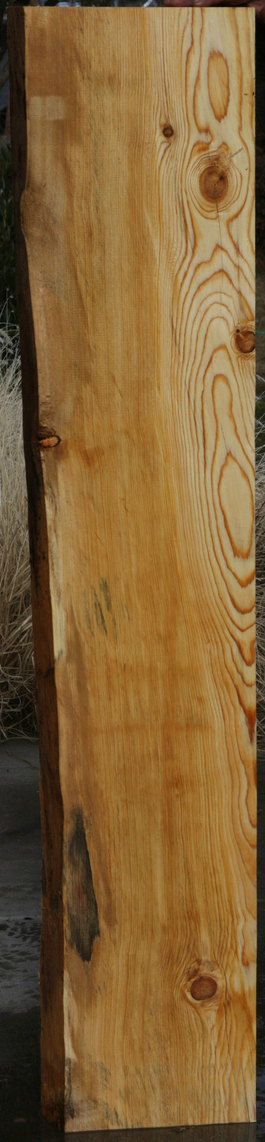 Natural Rustic Blue Ponderosa Pine Mantel