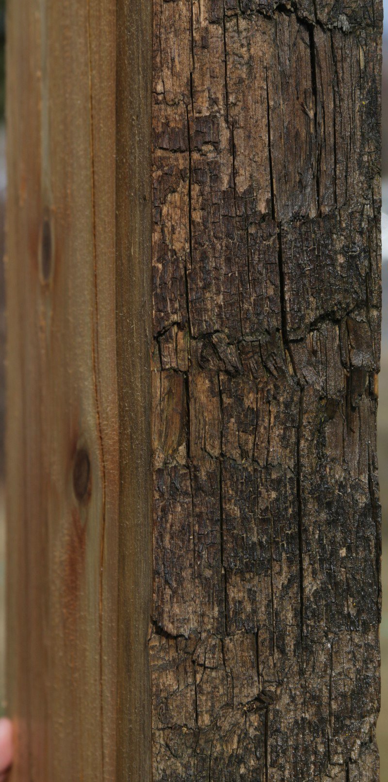 Natural Rustic Red Cedar Mantel