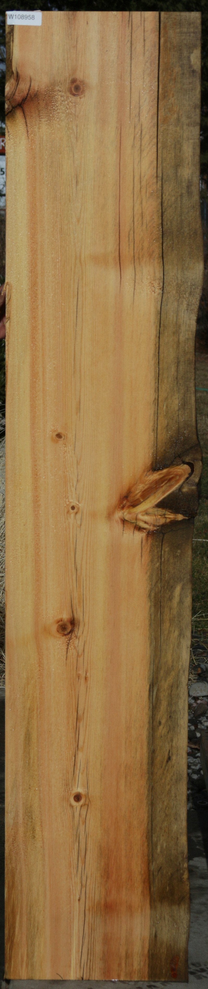 Natural Rustic Blue Ponderosa Pine Mantel