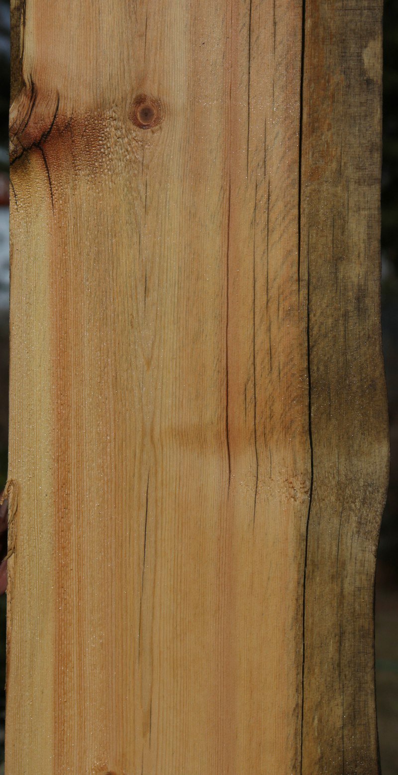 Natural Rustic Blue Ponderosa Pine Mantel