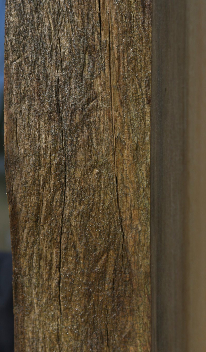 Natural Rustic Blue Ponderosa Pine Mantel