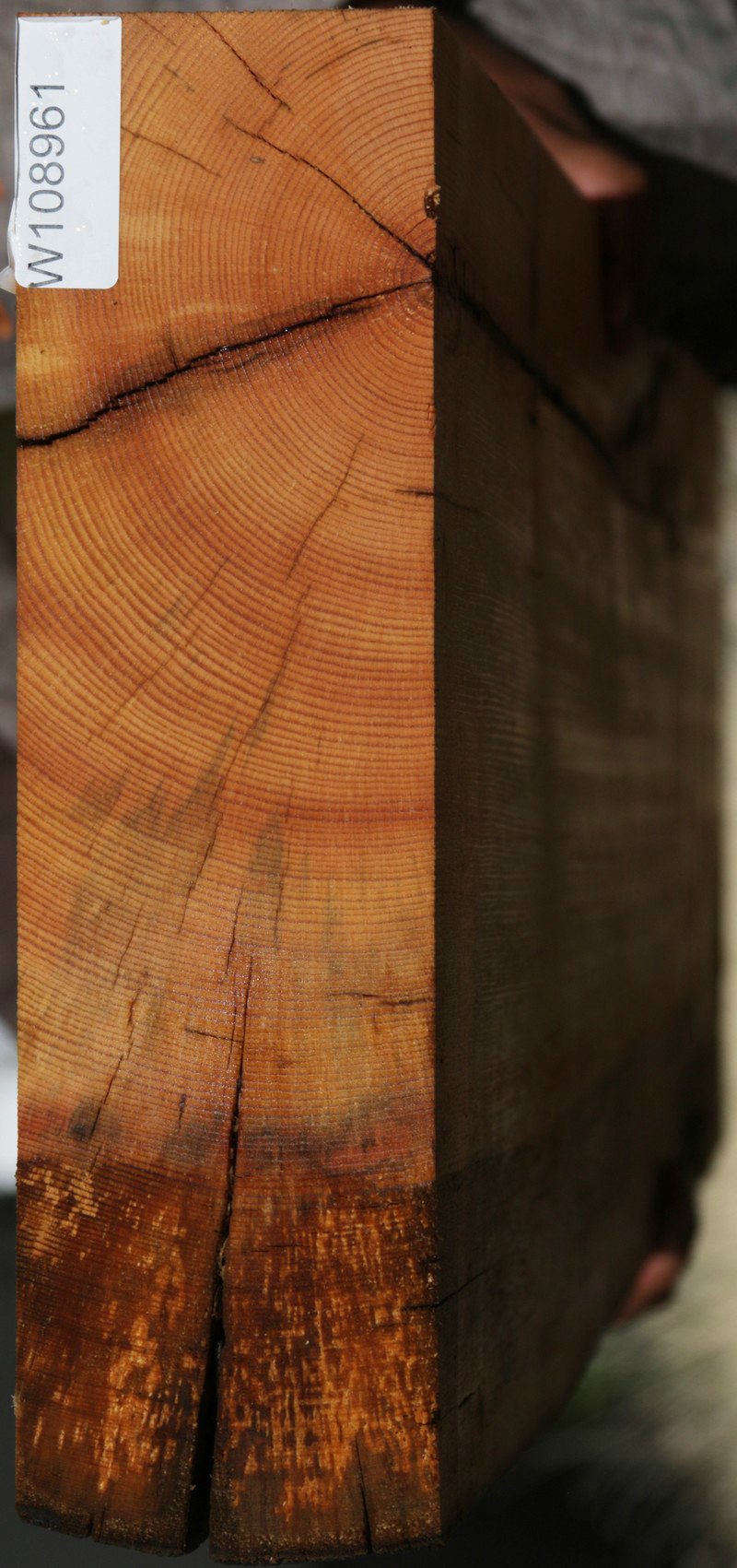 Ponderosa Pine Mantel