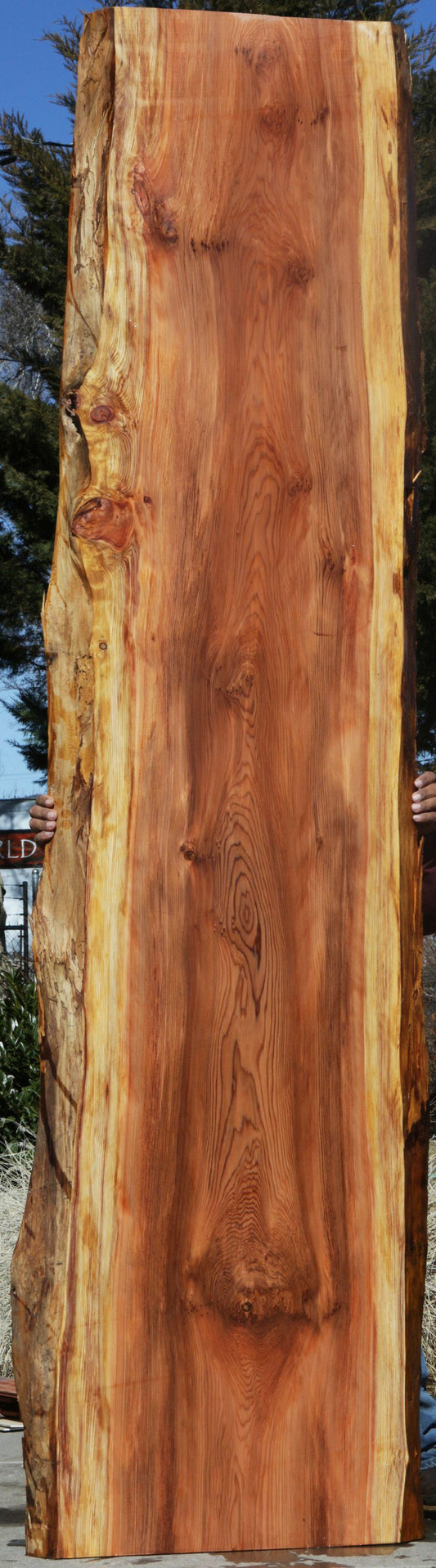 Redwood Slab