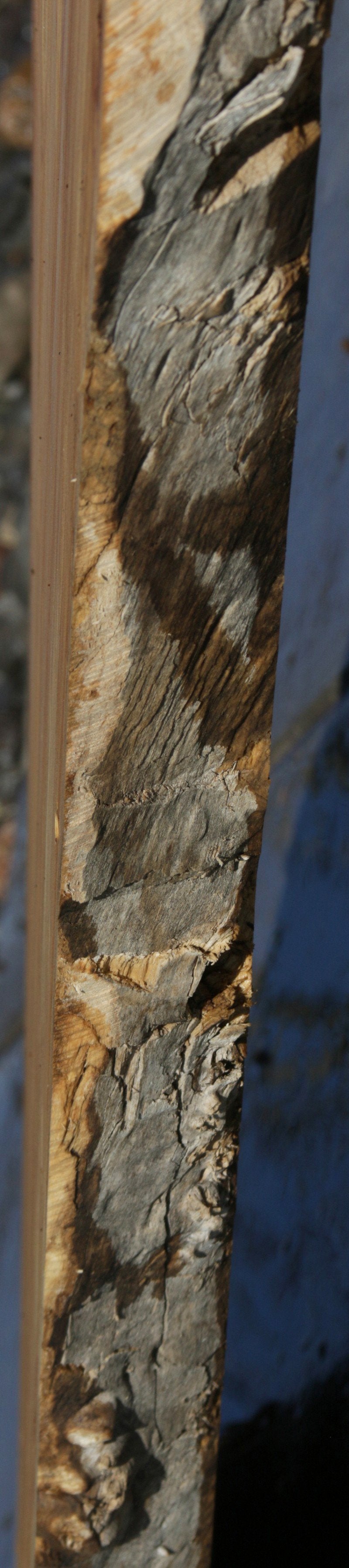 Figured Crotchwood Cottonwood Slab
