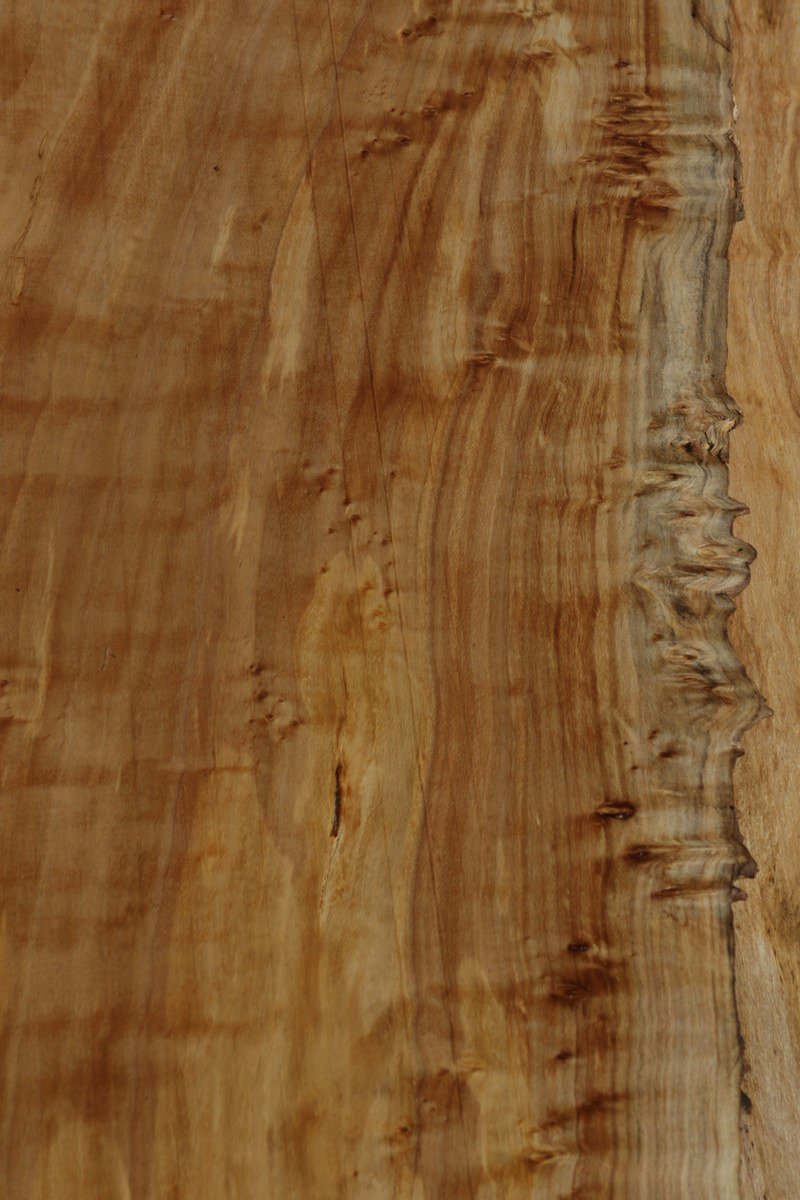 Figured Crotchwood Cottonwood Slab