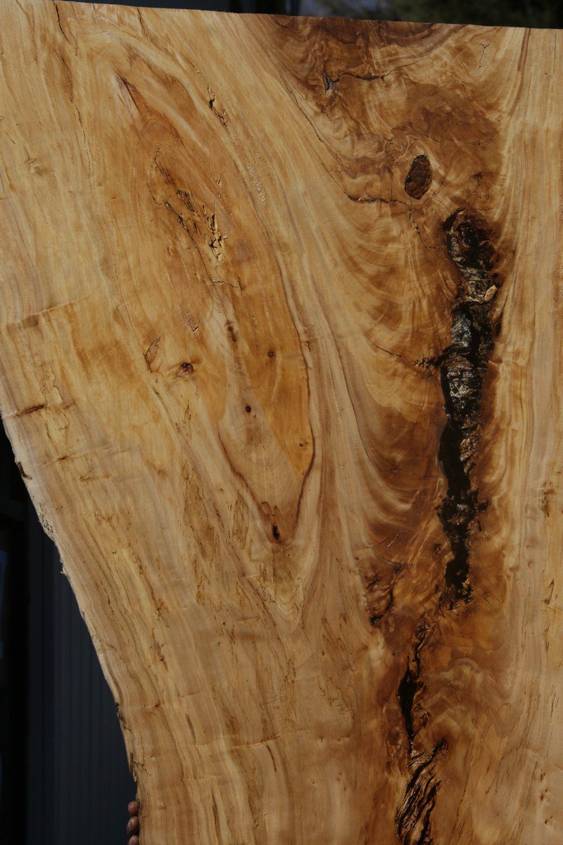 Figured Crotchwood Cottonwood Slab