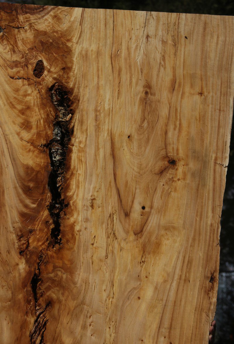 Figured Crotchwood Cottonwood Slab