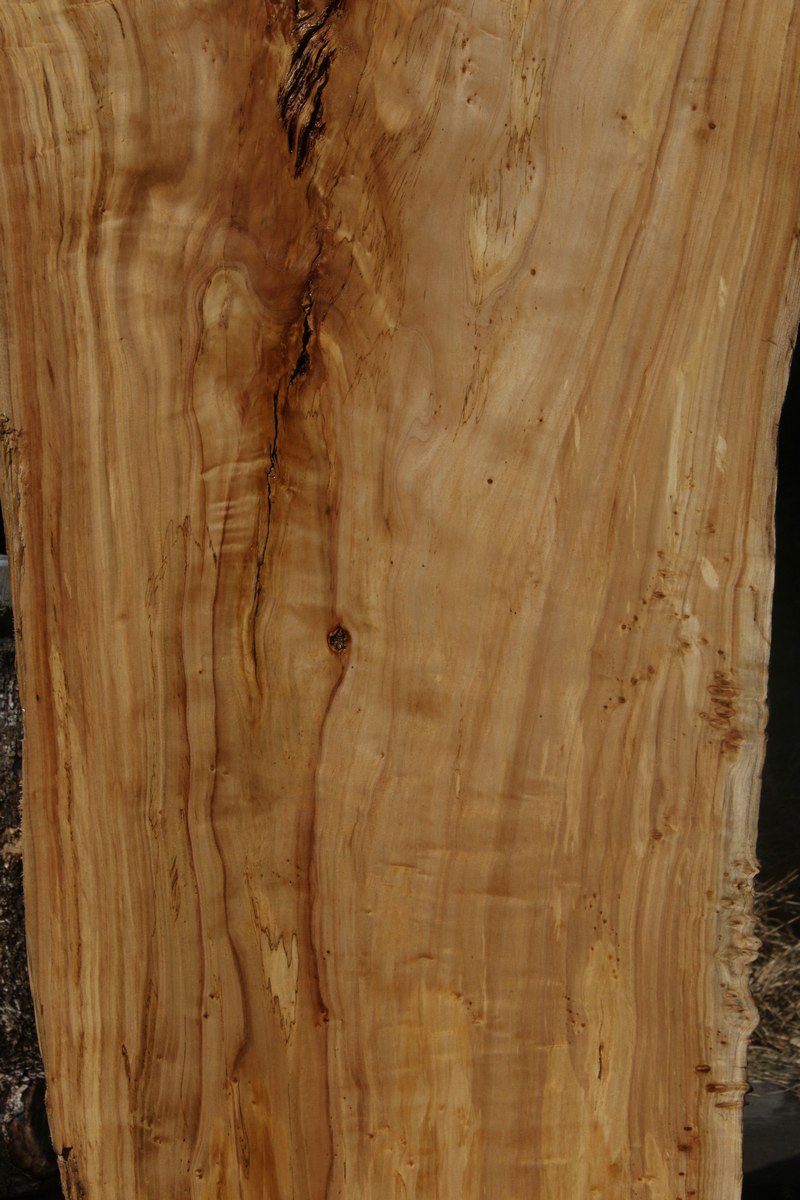 Figured Crotchwood Cottonwood Slab