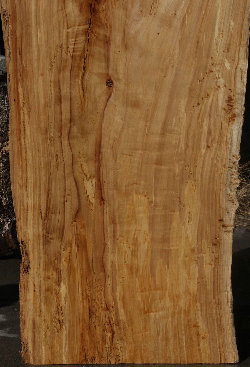 Figured Crotchwood Cottonwood Slab