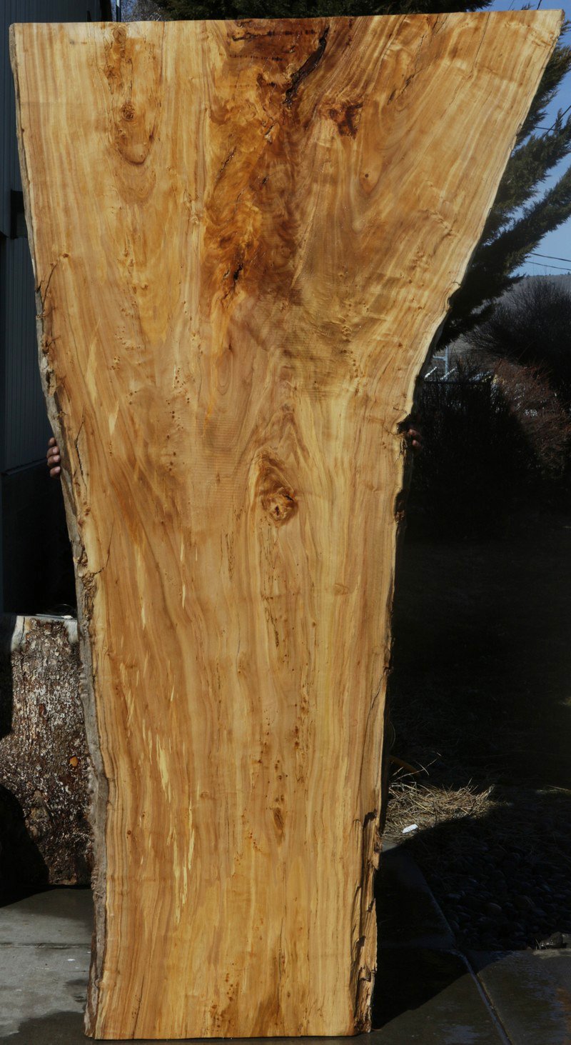 Figured Crotchwood Cottonwood Slab